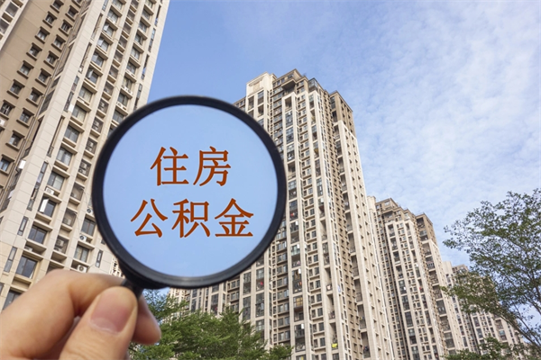 广东个人公积金去哪儿取（住房公积金个人到哪里提取）